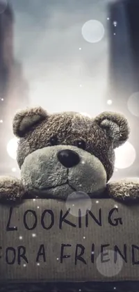 This mobile live wallpaper features a cute teddy bear sitting atop a cardboard sign against an album cover background