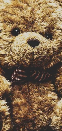 teddy bear Live Wallpaper