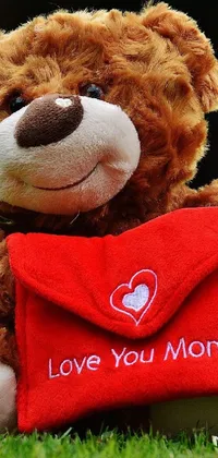 Toy Teddy Bear Red Live Wallpaper