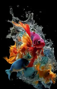 Toy Underwater Marine Biology Live Wallpaper