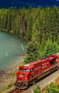 Water Train Plant Live Wallpaper - free download