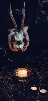 This live phone wallpaper features digital art of a deer skull being held as a vanitas symbol with cobwebs and bones lying on the ground in front of a dark forest