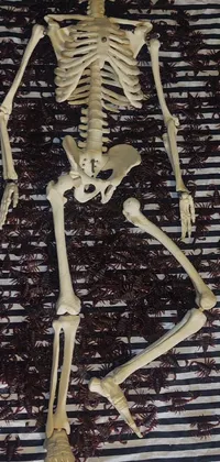 This live wallpaper features a skeleton sitting on a pile of raisins