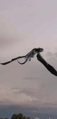 This phone live wallpaper features a lifelike bird soaring through the clouds, with a majestic dragon perched on a rocky outcropping