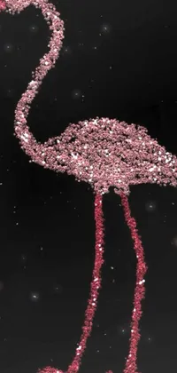 Get mesmerized by this stunning phone live wallpaper of a pink flamingo on black background