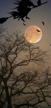 This live phone wallpaper showcases a mystical gothic scene of a witch on a broomstick flying in front of a full moon