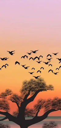 Tree Bird Sky Live Wallpaper