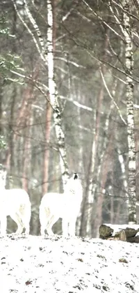 This winter-themed phone live wallpaper showcases a herd of sheep standing on a snowy forest