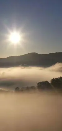 This phone live wallpaper features a beautiful sunlit valley shrouded in mist and fog