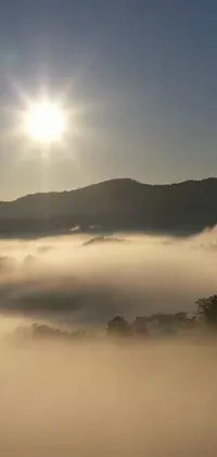 This live phone wallpaper captures a gorgeous sunrise over a foggy valley