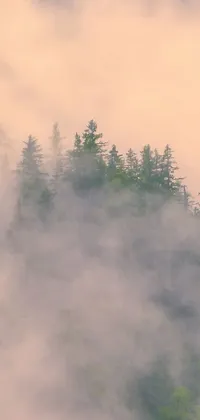 Tree Cloud Fog Live Wallpaper