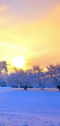 Transform your phone's screen into a glowing, winter wonderland with this romantic live wallpaper