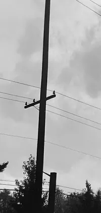 This phone live wallpaper features a captivating black and white photo of a telephone pole with a stop light glowing in the backdrop of cloudy weather