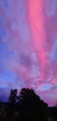 Get lost in the breathtaking visuals of this phone live wallpaper! Featuring stunning trees up close and a beautiful pink and blue sky in the background, this wallpaper also boasts a majestic panorama of the starry night sky