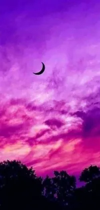 This Islamic-inspired phone live wallpaper boasts a gorgeous purple sky backdrop complemented by a centered crescent moon