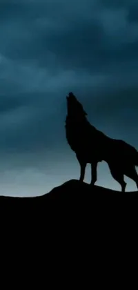 This live wallpaper depicts a powerful gray wolf on top of a hill against a cloudy dark sky