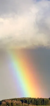 This phone live wallpaper features a stunning rainbow over a green field, bathed in soft gray light