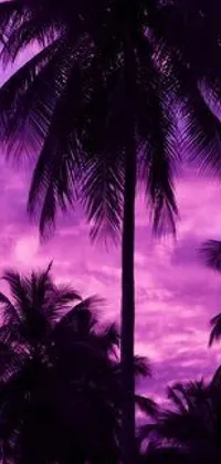 This phone live wallpaper features stunning silhouettes of palm trees against a striking purple sky