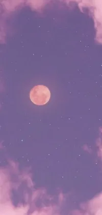 Enjoy the serene beauty of a full moon in the sky with this enchanting phone live wallpaper