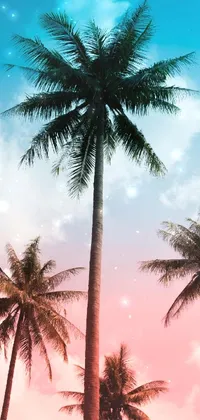 Bring the tranquility of a tropical paradise to your phone with this lively wallpaper