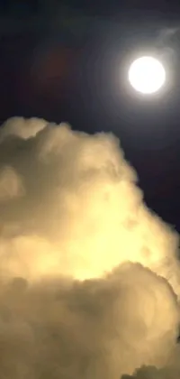 This live wallpaper depicts a plane flying in the sky with a full moon in the background