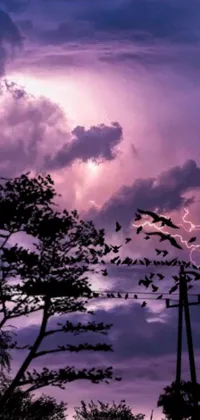This live wallpaper is a stunning visual display of a flock of birds flying across a purple sky