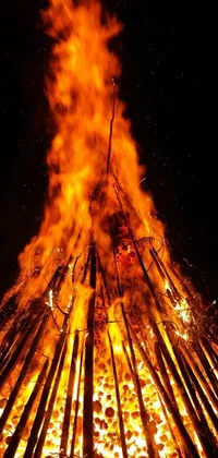 This live wallpaper depicts a warm and inviting scene of a bonfire burning brightly in the dark