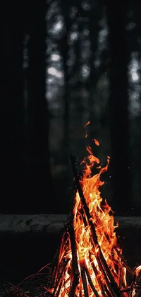 Tree Fire Flame Live Wallpaper