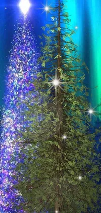 Tree Fireworks Christmas Tree Live Wallpaper