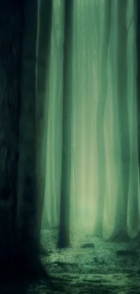 Immerse yourself in a hauntingly beautiful forest with this phone live wallpaper