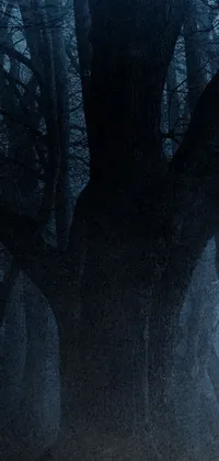 Tree Fog Dark Live Wallpaper