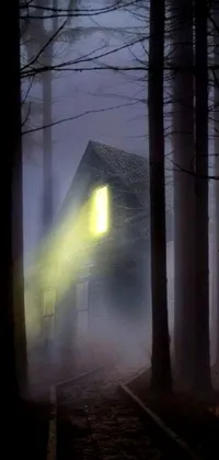 This phone live wallpaper depicts a foggy forest with a mysterious house in the center