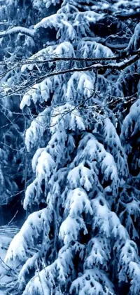 Tree Forest Snow Live Wallpaper