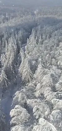 Tree Formation Snow Live Wallpaper