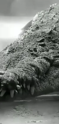 This stimulating black and white phone live wallpaper boasts an incredibly detailed, surreal image of a crocodile's head as the centerpiece, offset by a Reddit logo for a touch of modernity