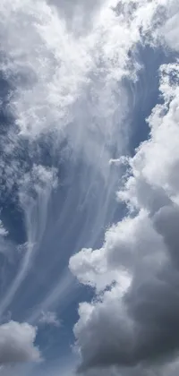Enjoy the serene beauty of nature with this phone live wallpaper featuring a person flying a kite in a cloudy sky