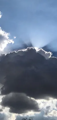 This live wallpaper features a stunning display of sunrays breaking through clouds in the sky