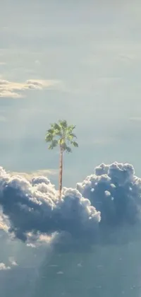Tree Landscape Cloud Live Wallpaper
