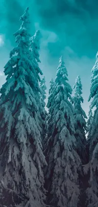 Experience the serene winter beauty of a snowy pine forest with this teal aesthetic live wallpaper