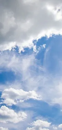 The live wallpaper captures the beauty of a cloudy day as a person flies a kite