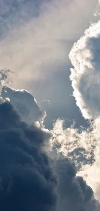 This live wallpaper features an immense jetliner flying through a cloudy sky