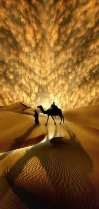 This phone live wallpaper showcases a stunning image of a camel rider traversing through a desert