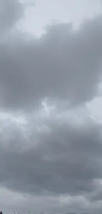This live wallpaper displays a flying kite against cloudy sky on a gray backdrop