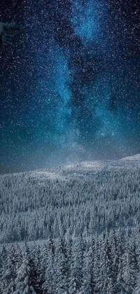 This live wallpaper depicts a stunning winter night sky view with snowflakes softly drifting down from the top of the screen