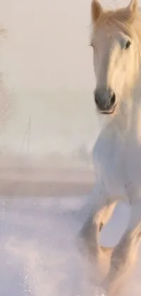 This phone live wallpaper captures the beauty of a white horse running through a snowy landscape