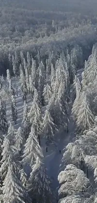Tree Landscape Snow Live Wallpaper