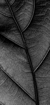 Tree Leaf Grey Live Wallpaper