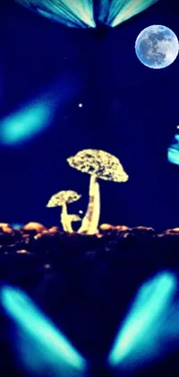 Tree Light World Live Wallpaper