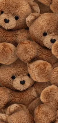 Sweet cute store teddy bear wallpapers