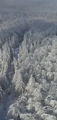 Tree Mountain Snow Live Wallpaper